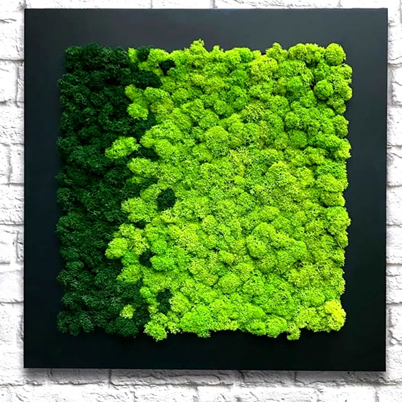mosswall02.jpg